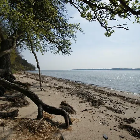 Hoefthus 8 Apartman Neu Reddevitz