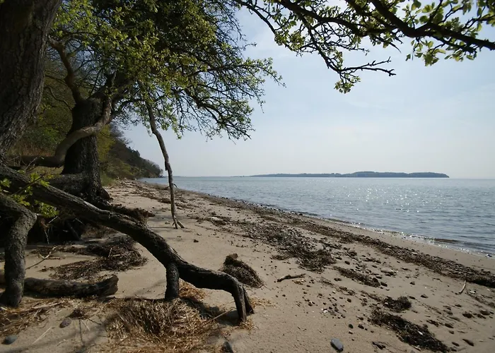 Hoefthus 8 Apartman Neu Reddevitz